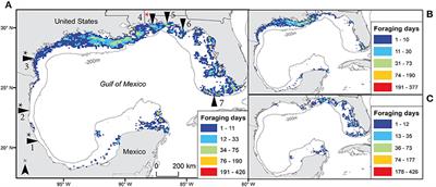 Marine Threats Overlap Key Foraging Habitat for Two Imperiled Sea Turtle Species in the Gulf of Mexico